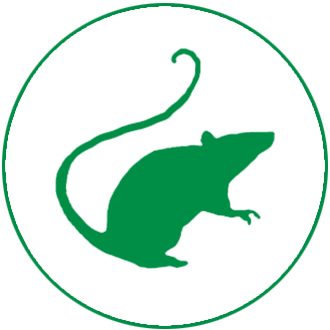 Comment lutter contre les rats ? - Gamm vert